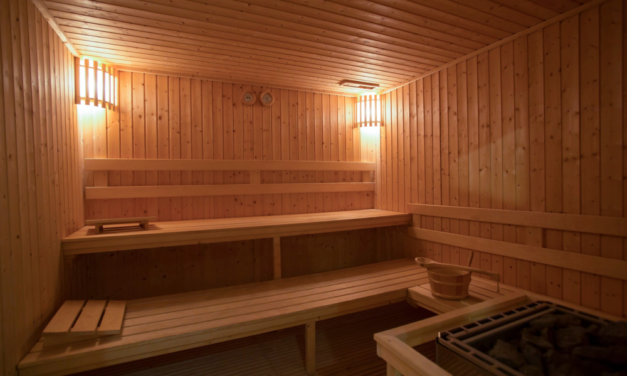 Sauna traditionala standard